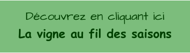 D�couvrez en cliquant ici La vigne au fil des saisons